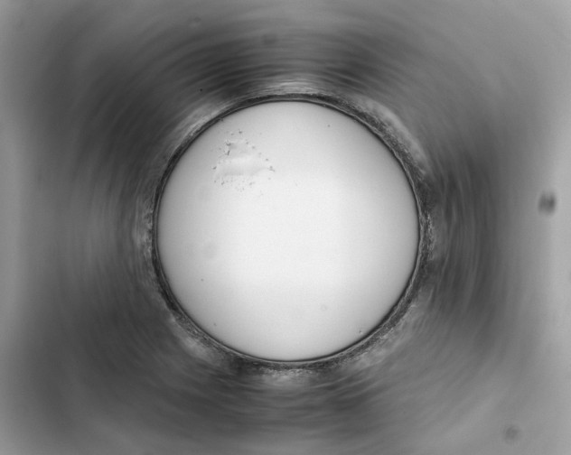 X0000101991225200808151416