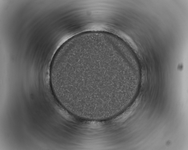 X0000101991226200808151416