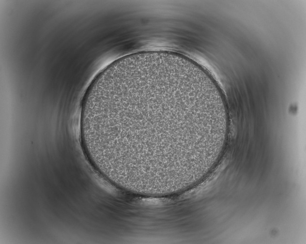 X0000101991227200808151416