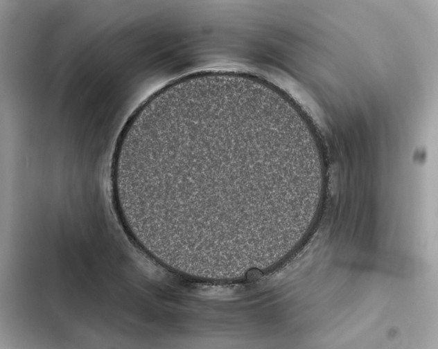 X0000101991229200808151416