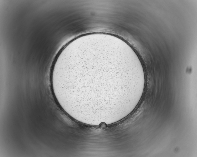 X0000101991230200808151416