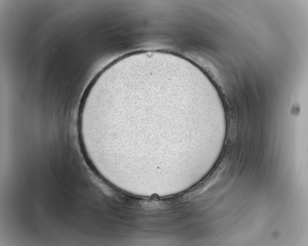 X0000101991231200808151416