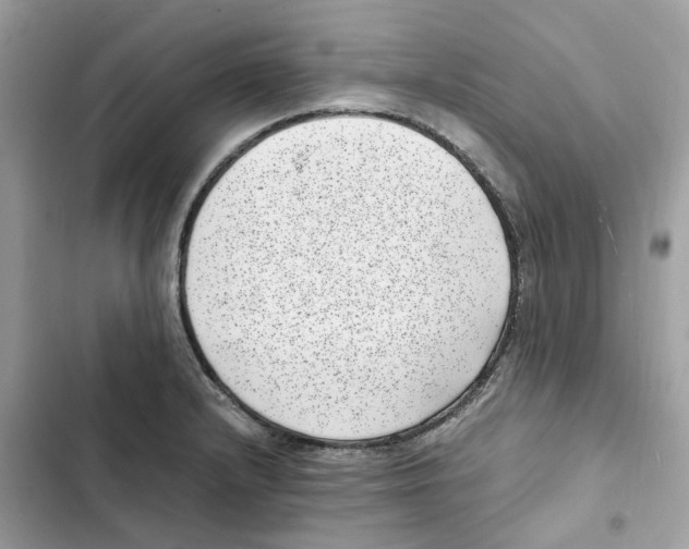 X0000101991232200808151416