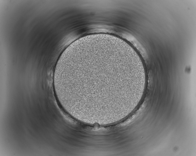 X0000101991233200808151416