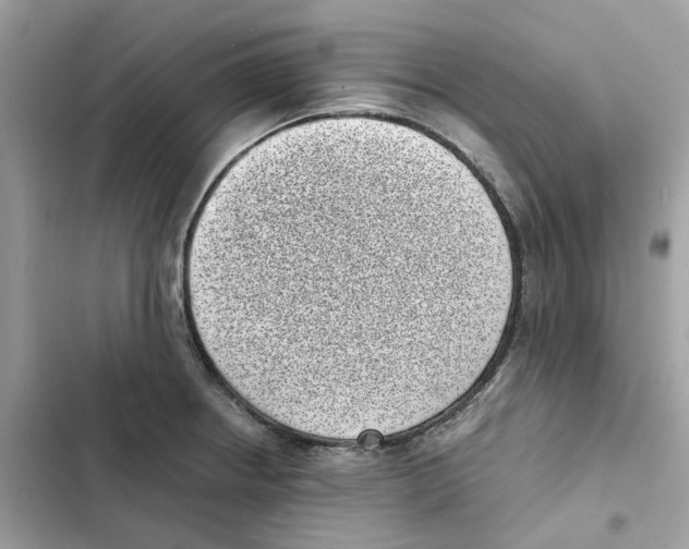 X0000101991234200808151416