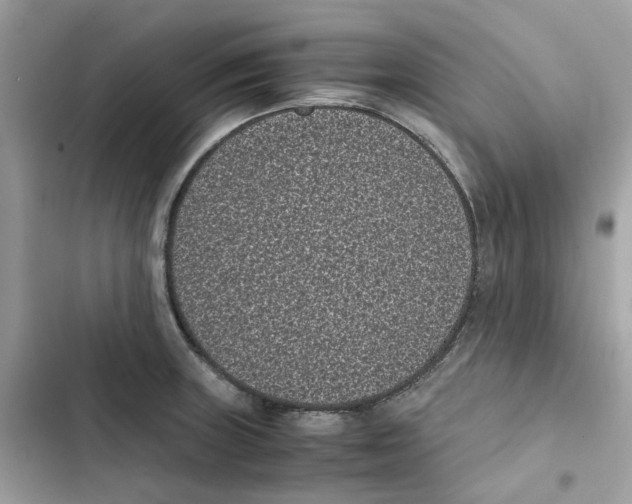 X0000101991235200808151416