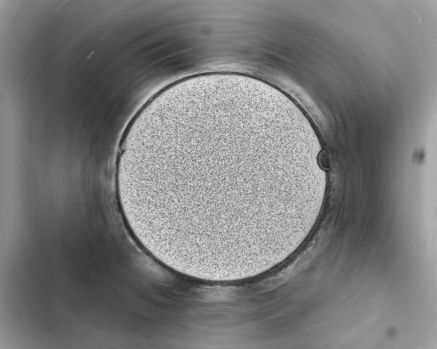 X0000101991236200808151416
