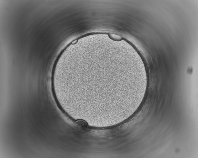X0000101991237200808151416