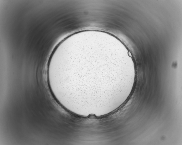 X0000101991238200808151416
