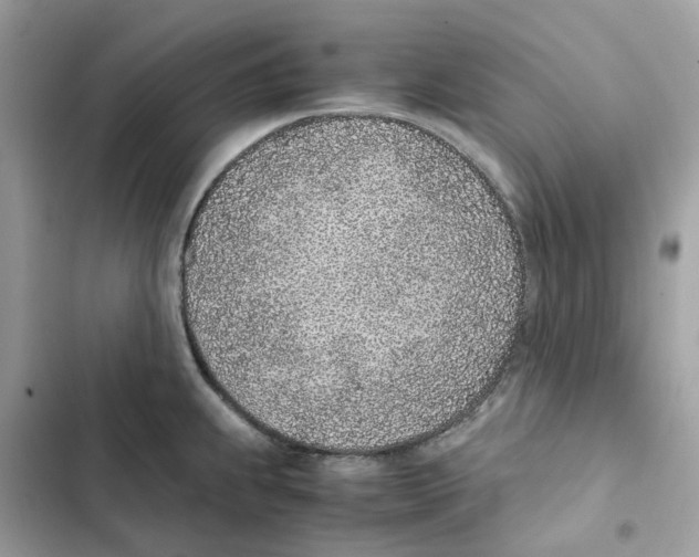 X0000101991239200808151416