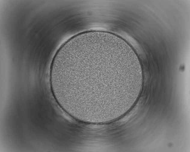 X0000101991240200808151416