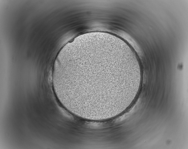 X0000101991241200808151416
