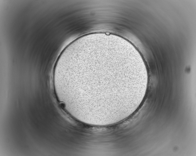 X0000101991242200808151416