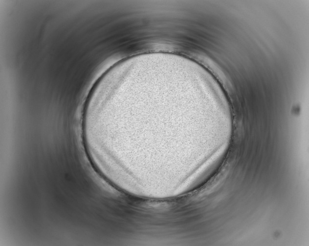 X0000101991243200808151416