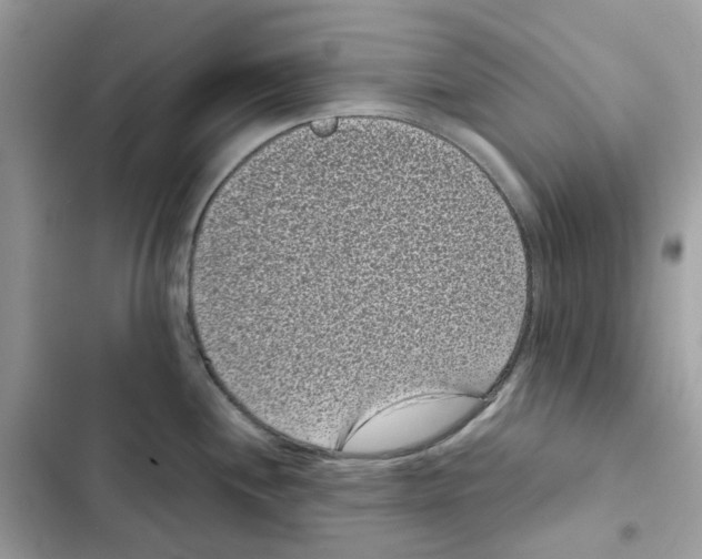 X0000101991244200808151416