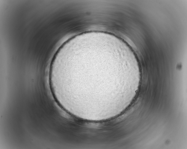X0000101991245200808151416