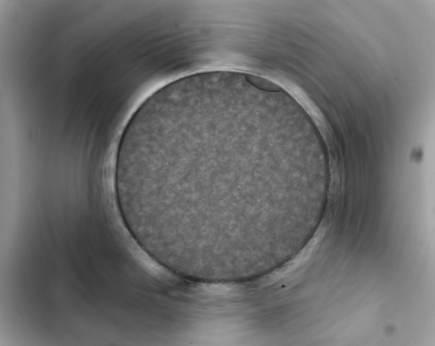 X0000101991246200808151416