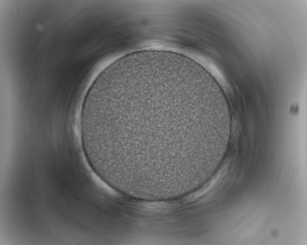 X0000101991247200808151416
