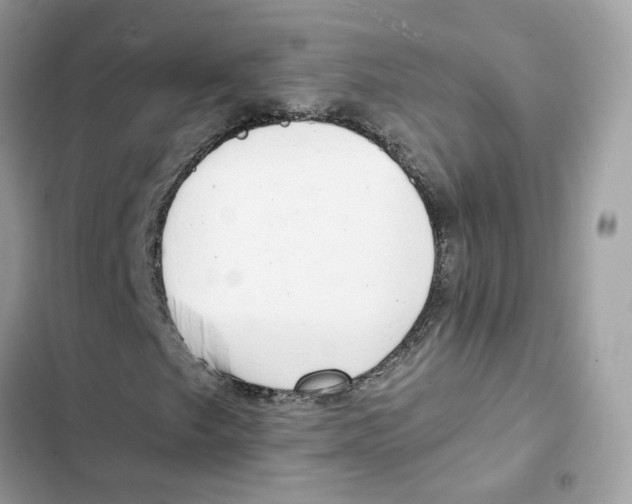X0000101991249200808151416