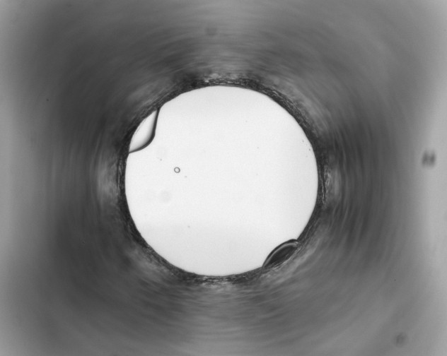 X0000101991250200808151416