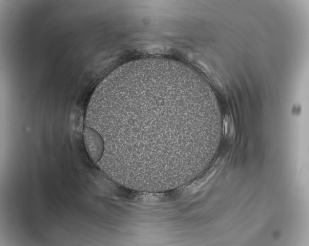 X0000101991251200808151416