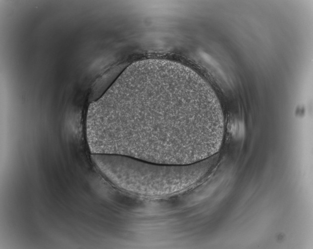 X0000101991252200808151416