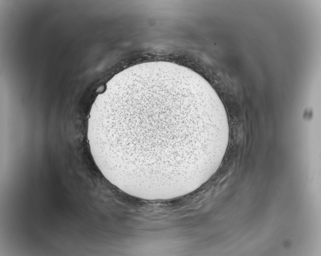 X0000101991253200808151416