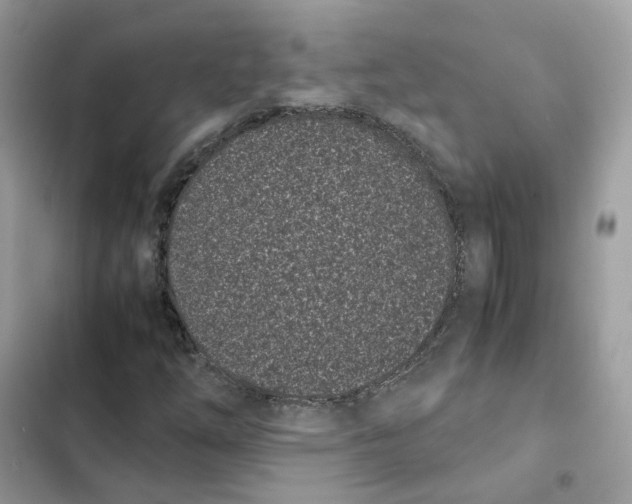 X0000101991254200808151416