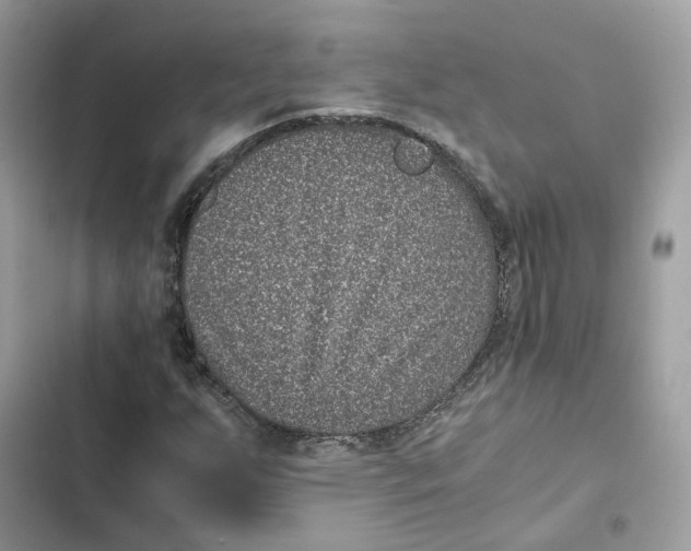 X0000101991255200808151416