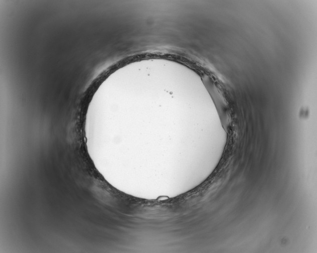 X0000101991256200808151416