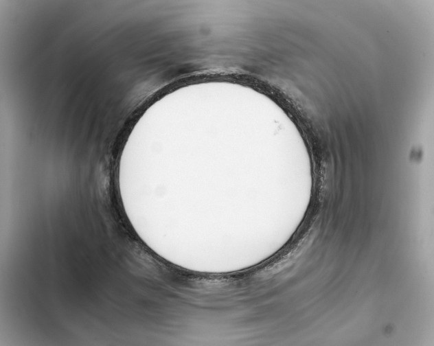X0000101991257200808151416