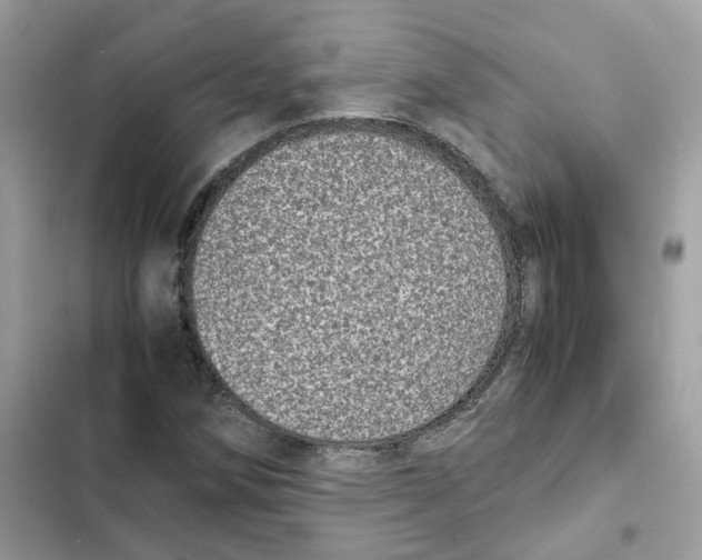 X0000101991258200808151416