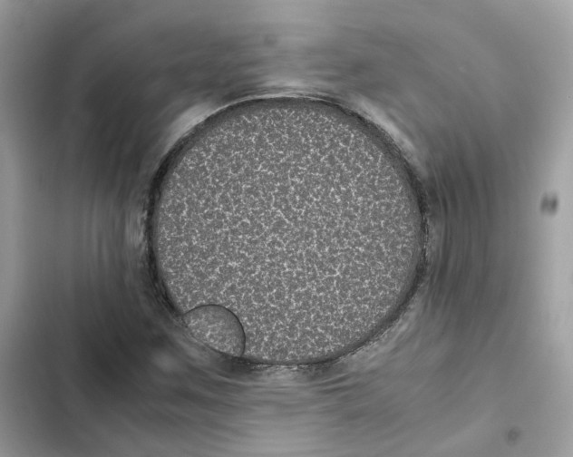 X0000101991259200808151416