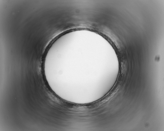 X0000101991260200808151416