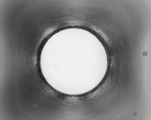 X0000101991261200808151416
