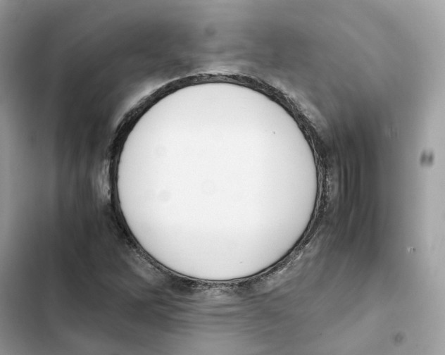 X0000101991262200808151416