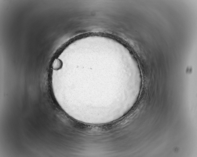 X0000101991263200808151416