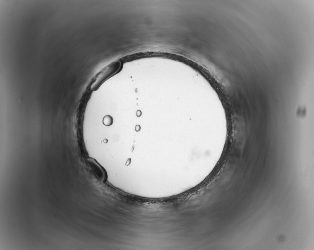 X0000101991264200808151416