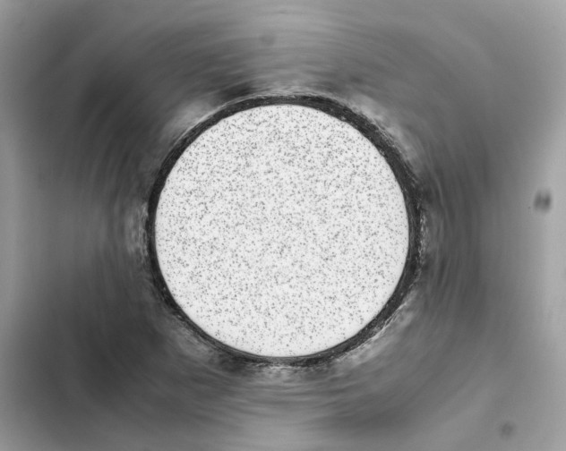 X0000101991265200808151416