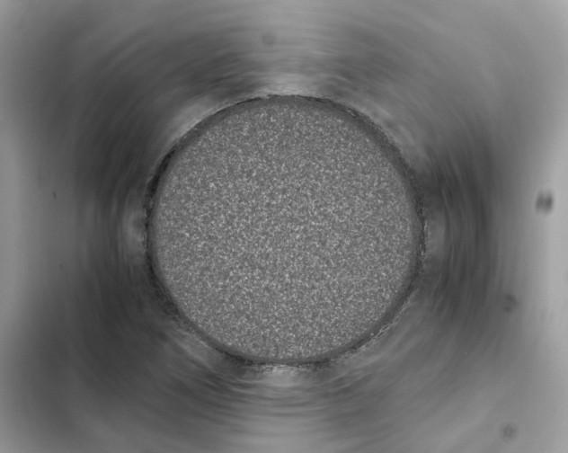 X0000101991266200808151415