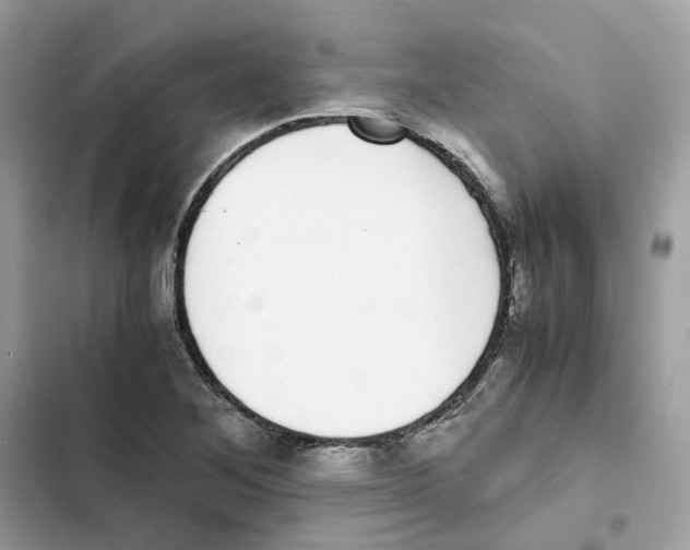X0000101991268200808151415