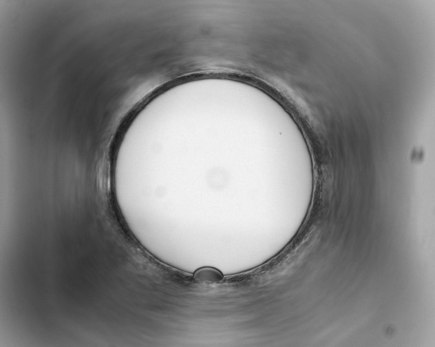 X0000101991269200808151415