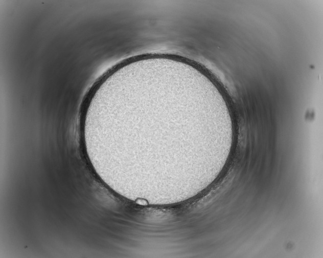 X0000101991270200808151415
