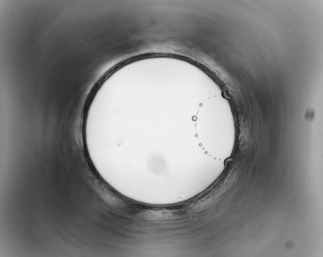 X0000101991272200808151415