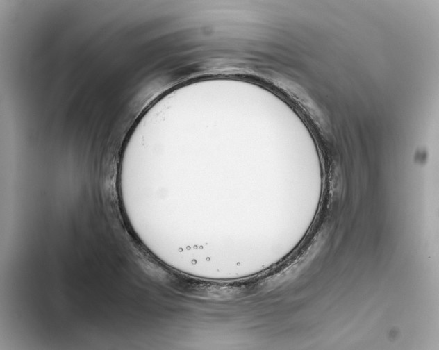 X0000101991273200808151415