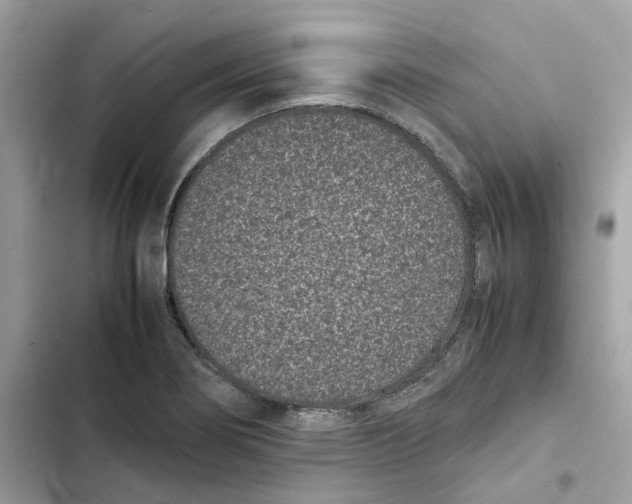 X0000101991274200808151415