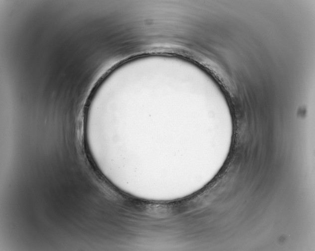 X0000101991275200808151415