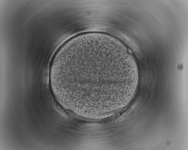 X0000101991276200808151415