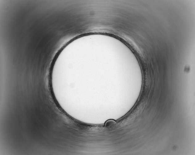X0000101991277200808151415