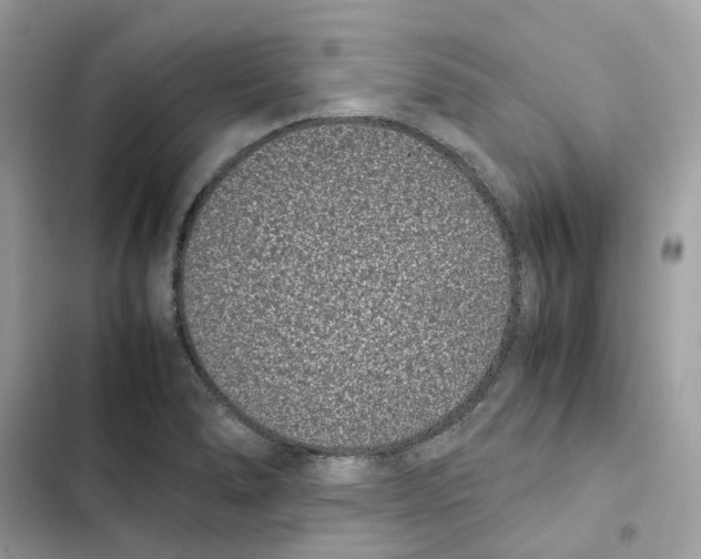 X0000101991278200808151415